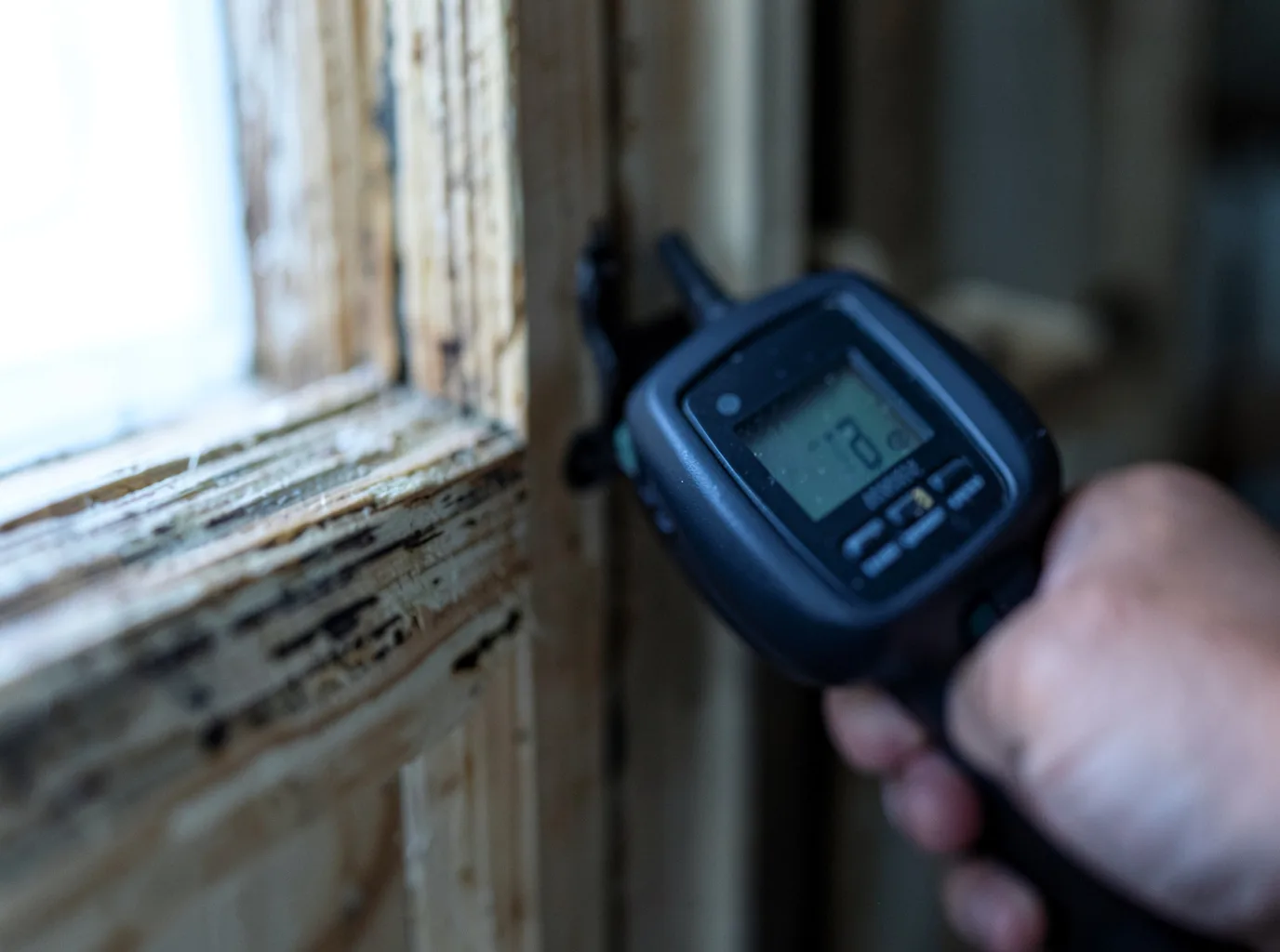 Ceiling Water Damage Repair in Berino, NM